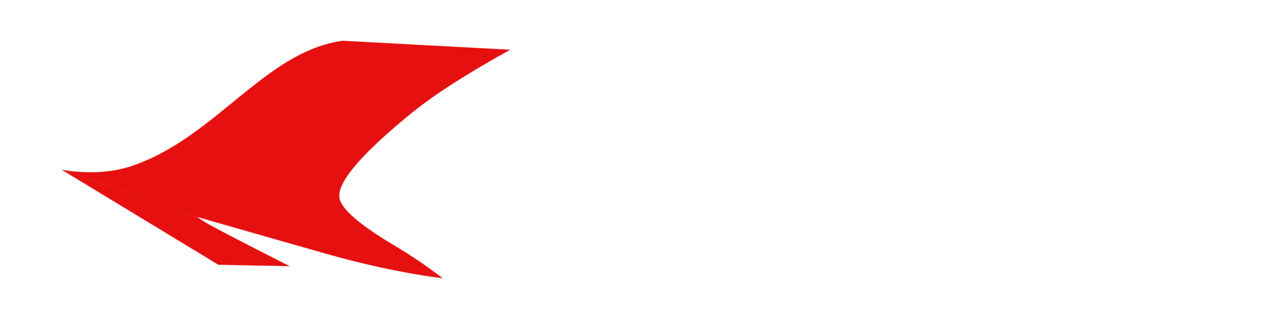 logo-light
